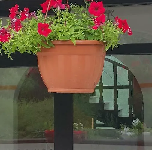 Gæstehus Sara Buzet