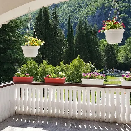 Guest house Sara Buzet